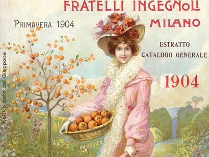 Catalogo dei Fratelli Ingegnoli