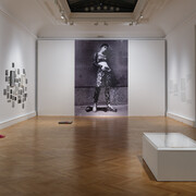 You, who can fly, exhibition view. Courtesy of OÖ Landes-Kultur GmbH