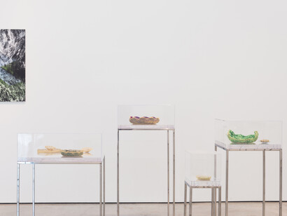 Ana Maria Tavares: Euryale Amazonica, Sicardi Gallery installation view, October 30 - December 20, 2014. Photography by Logan Sebastian Beck.