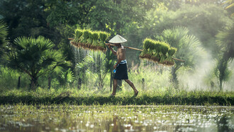 ¿Cómo son las personas mentalmente fuertes?
