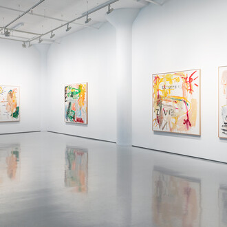 Reinhard Pods, Happy hour, exhibition view. Courtesy of Fergus McCaffrey Gallery