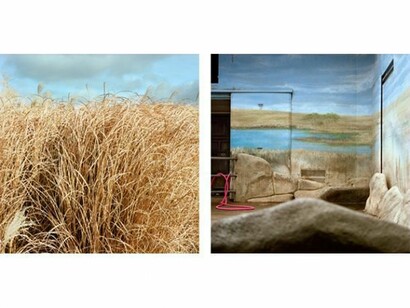Colleen Plumb, Morton Arboretum, 1999, Rhonoceros House, 2002, 18.5 x 18.5 inches, Archival pigment print