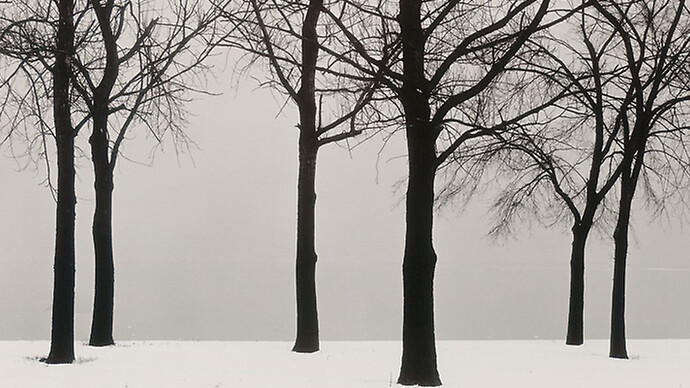 Harry Callahan, American, 1912–1999, Chicago, 1950