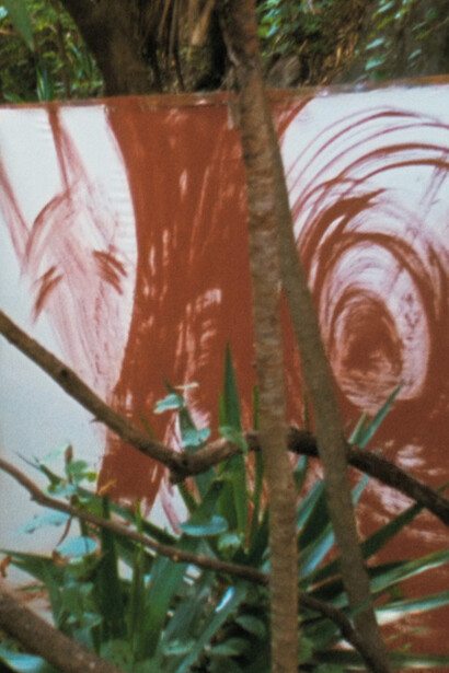 Rosalind Nashashibi: Vivian's Garden. Courtesy of Art Institute of Chicago