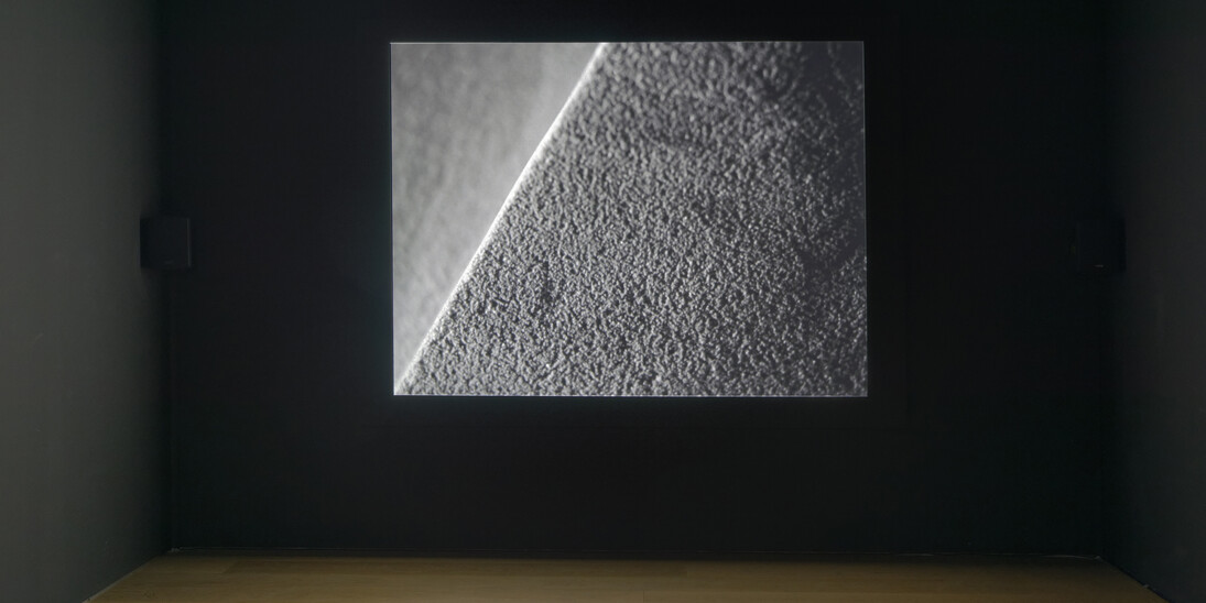 Vue de l’exposition Flatland / Abstractions narratives #2, 07.10.2017 - 15.04.2018, Mudam Luxembourg

Philippe Decrauzat
Solides, 2017
Vidéo HD (telecinéma d’un film 16 mm, noir et blanc), son
Production Mudam Luxembourg
Courtesy de l’artiste
© Photo : Aurélien Mole / Mudam Luxembourg
