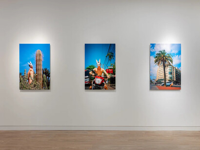 Vlad Zorin, Unmasked, exhibition view. Courtesy of Upsilon Gallery