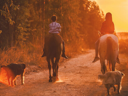 Un niño y una niña montan a caballo mientras sus mascotas les siguen los pasos. El sol ya habrá salido allá donde tú estás, lo sé porque me calienta la cara