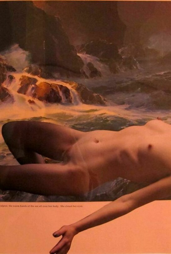 Tricia Lawless Murray, You Don’t Miss Your Water Till the Well Runs Dry, 2013, Photo-collage, 20 x 30 inches, Courtesy Grimaldi Gavin