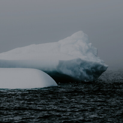 Melting ice caps as a result of global warming are affecting sea levels and wildlife