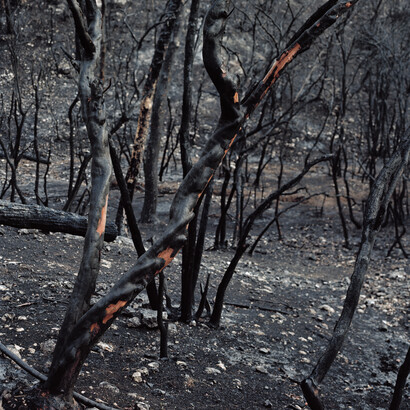 Corrine Silva, Wounded, Untitled 004 © Corinne Silva 2014