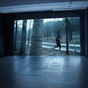 Diary of a Pioneer. Courtesy of de Sarthe Gallery