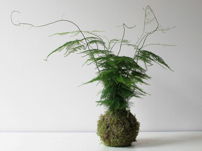 Una sfera vegetale