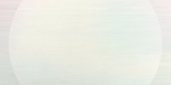 Steven MacIver. Courtesy of Dillon + Lee