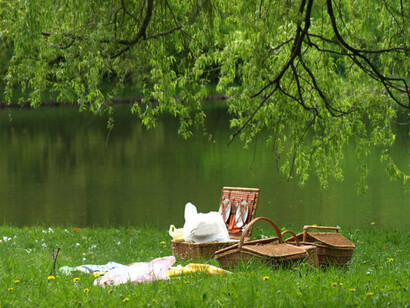 A perfect place for a picnic