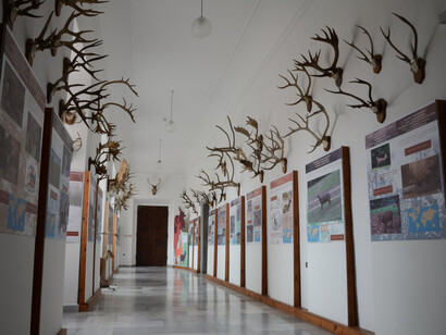 The Sallač Collection. Courtesy of National Museum of Agriculture