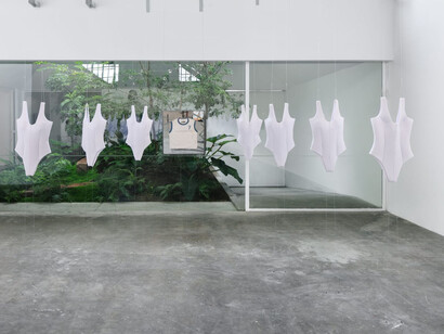 Adriano Costa, 1 metro de cabelo, exhibition view. Courtesy of Mendes Wood DM