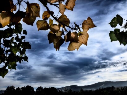 Cielo gris y hojas amarillentas en Cuenca