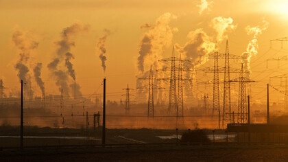 Las guerras a gran escala tienen consecuencias en la conservación del planeta