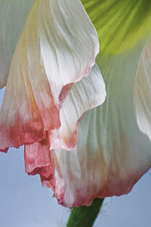 Joel Grey. Courtesy of Staley-Wise Gallery