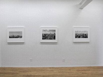 Dialectical Landscape, Exhibition view. Courtesy of Galerie Richard