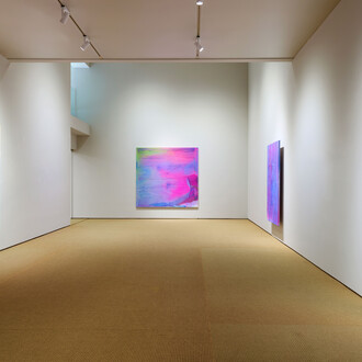 Kim Taek Sang, As it is, exhibition view. Courtesy of Johyun Gallery