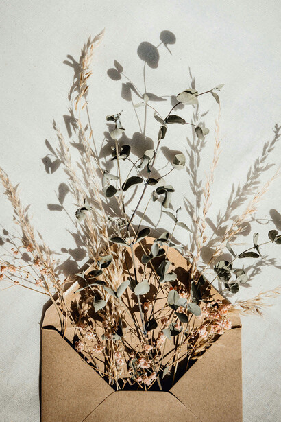 La carta viaja, cruza manos desconocidas, descansa en estantes, espera su momento... En cada sobre que llega, hay más que tinta: hay presencia, hay memoria, hay el eco de un abrazo a la distancia