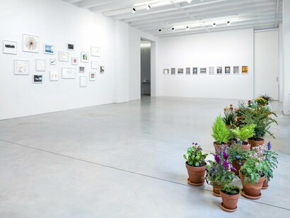 Spencer Finch, Exhibition view. Courtesy of Galerie Nordenhake