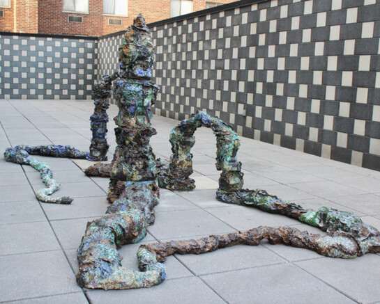 Heidi Lau. Courtesy of Bronx Museum of the Arts 