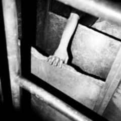 Ergo Sum. Courtesy of Galleria del Cembalo