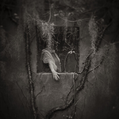 Anne in the Window. Courtesy of Gallery 169