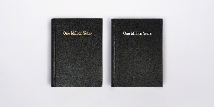 One Million Years. Courtesy of MFC - Michèle Didier