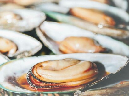 Mussels from New Zealand
