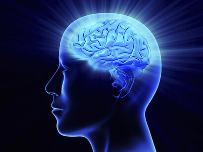 El cerebro. La cuna de las ideas