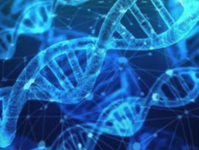 Un gran paso adelante en el entendimiento de la diversidad genética, y su impacto en la salud y la fertilidad