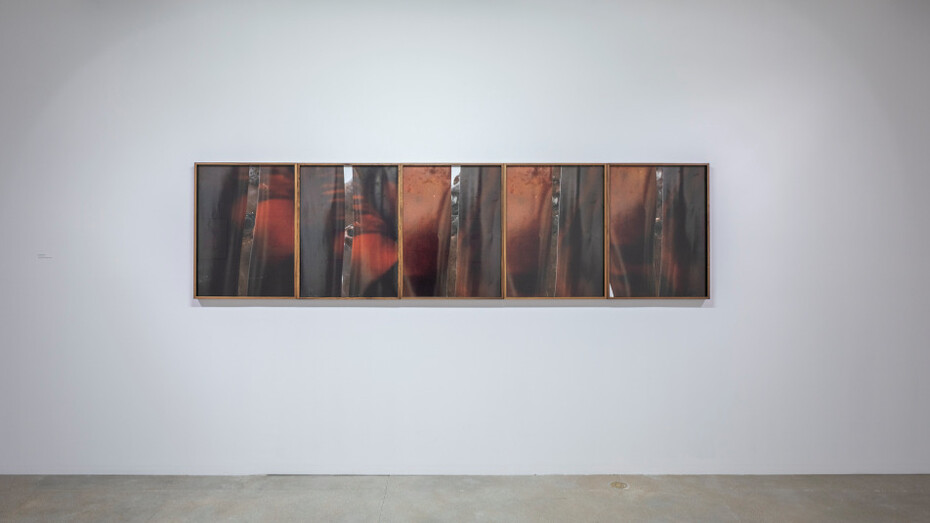 Paul Mpagi Sepuya. Courtesy of Blaffer Art Museum