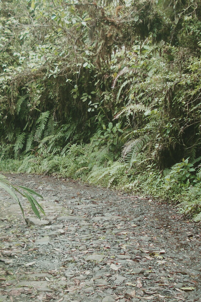 Vestigios de la antigua calzada del Bajo de La Hondura. Foto: Luko Hilje