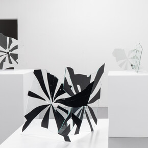 Ariel Schlesinger. Courtesy of Galleria Massimo Minini