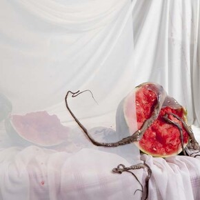 Offal. Courtesy of ABXY