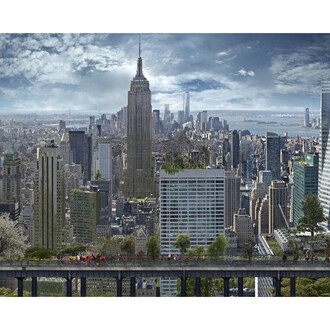 Jean-François Rauzier, Manhattan farms