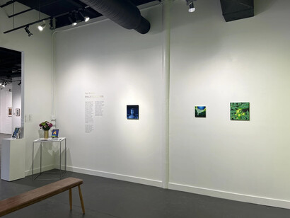 Navi Naisang, Phantom limb, exhibition view. Courtesy of Tyger Tyger Gallery