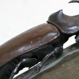 Invertebrados De Andalucía. Courtesy of Casa de la Ciencia