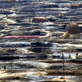 Steve Russell, Pink Pan
