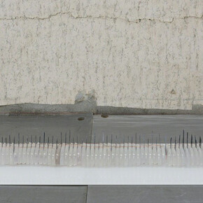 Daddy. Courtesy of G2