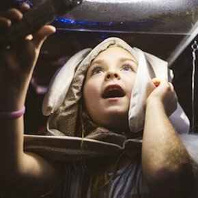 Curiosities. Courtesy of Musée national des beaux-arts du Québec