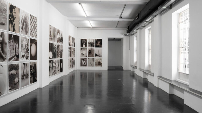 Eggs and rarities. Courtesy of Otto Zoo