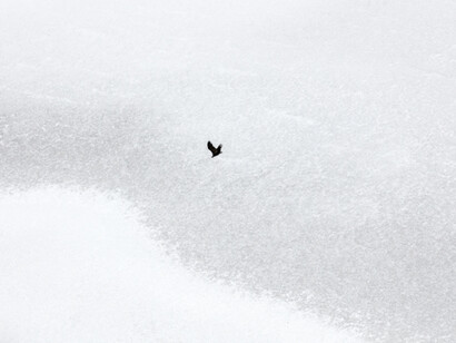 Zack Seckler. Courtesy of ClampArt