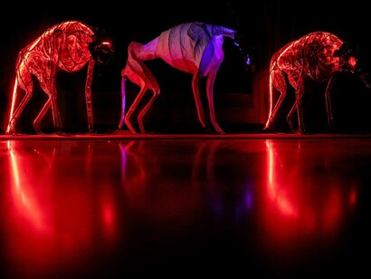 Jacopo Mandich, Jackal Project. Credit Manuela Giusto. Courtesy of Faber art gallery