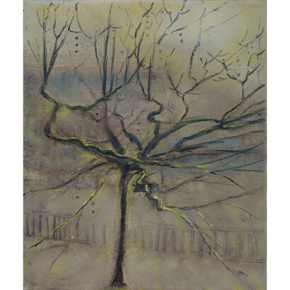 Celia Paul, Plane Tree, Great Russell Street, 2013, Oil on canvas, 30.5 x 25.4 x 2 cm, 12 1/8 x 10 x 3/4 in, Courtesy the Artist and Victoria Miro, London, © Celia Paul