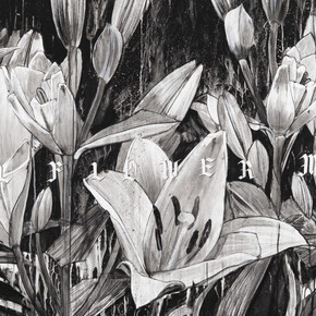 Hiroyasu Tsuri, Full flower moon (detail), 2025. Courtesy of Backwoods Gallery