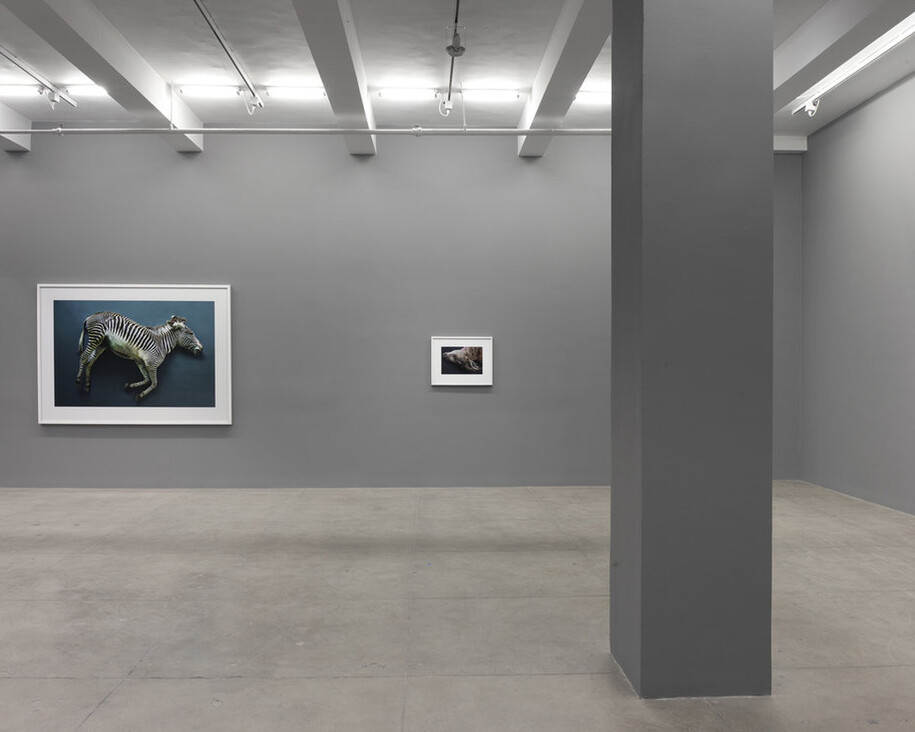 Thomas Struth. Courtesy of Marian Goodman Gallery